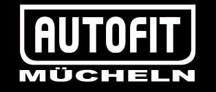 Kfz-Werkstatt AUTOFIT in Mücheln | Meisterwerkstatt seit 1992